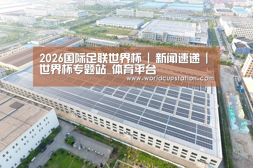 案例展示二