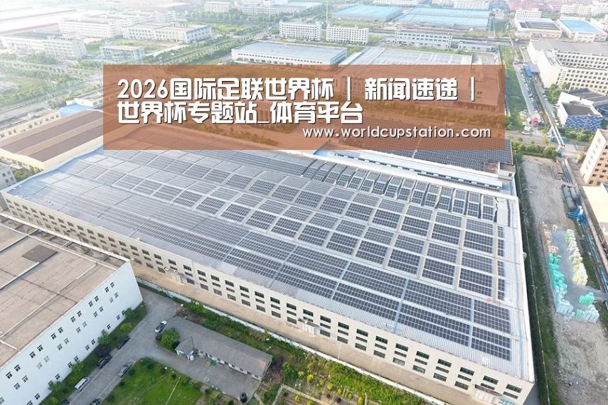 案例展示一
