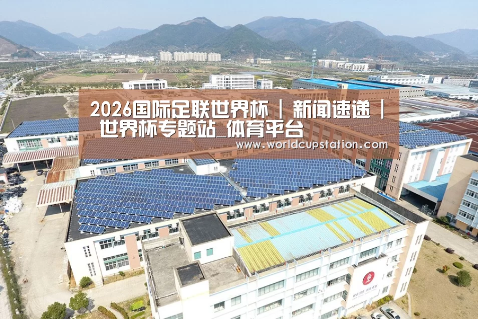 案例展示四