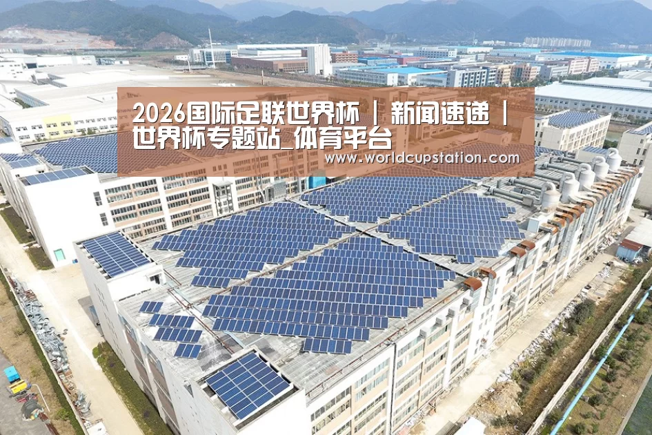 案例展示三