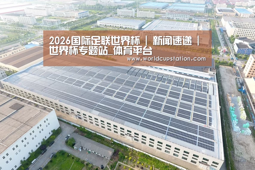 案例展示二