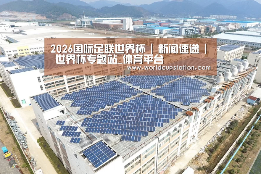 案例展示四
