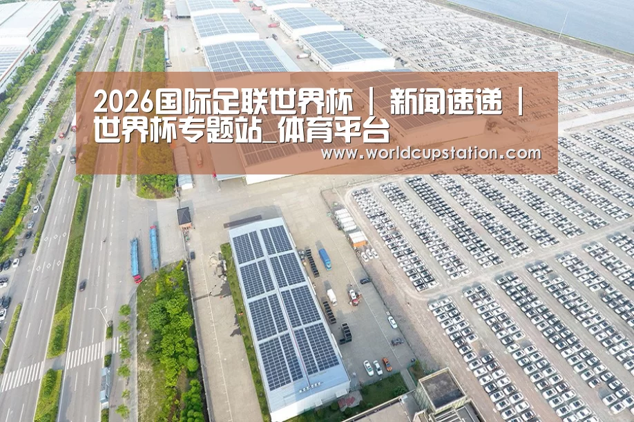案例展示一