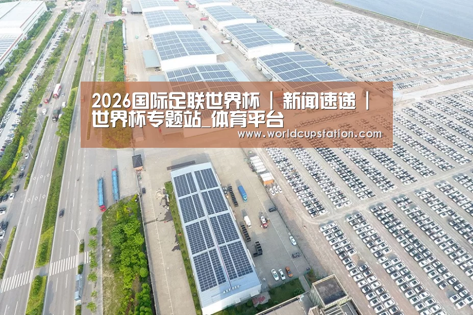 案例展示四