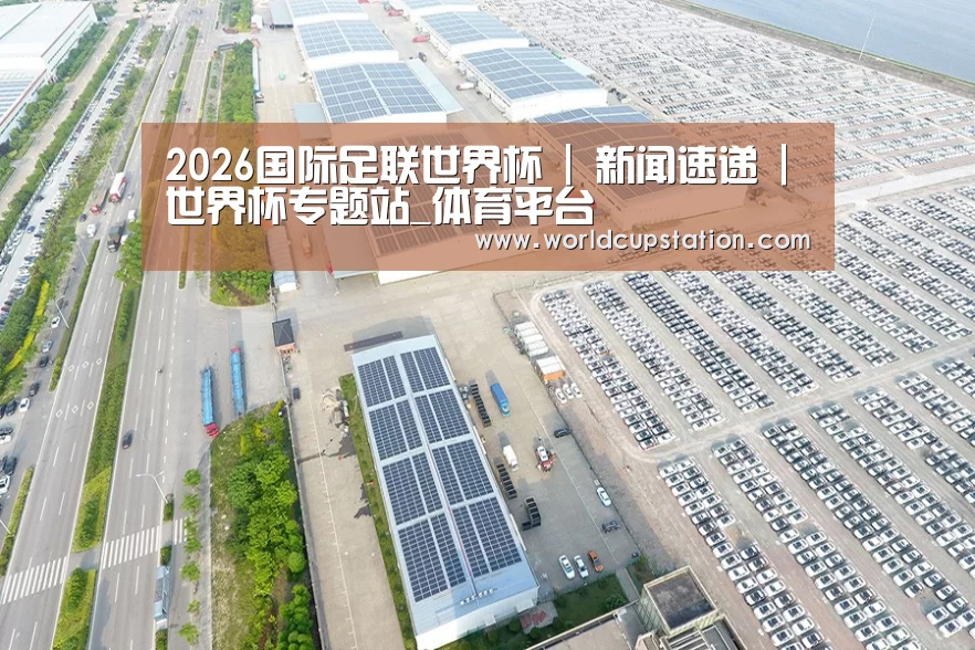 案例展示三