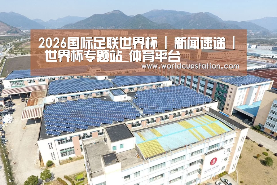 案例展示三