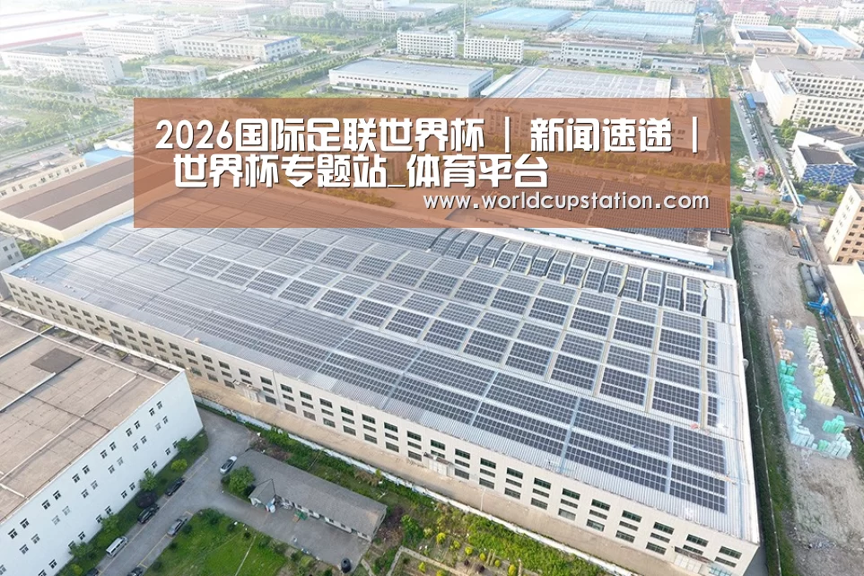 案例展示四
