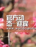 官方动态