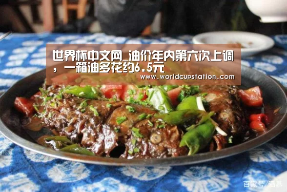 世界杯中文网_油价年内第六次上调,一箱油多花约6.5元(图4) World Cup 2026