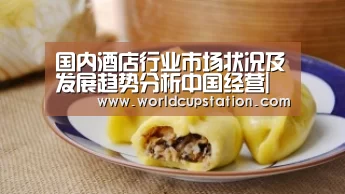 国内酒店行业市场状况及发展趋势分析中国经营|世界杯中文网(图2) 官方动态