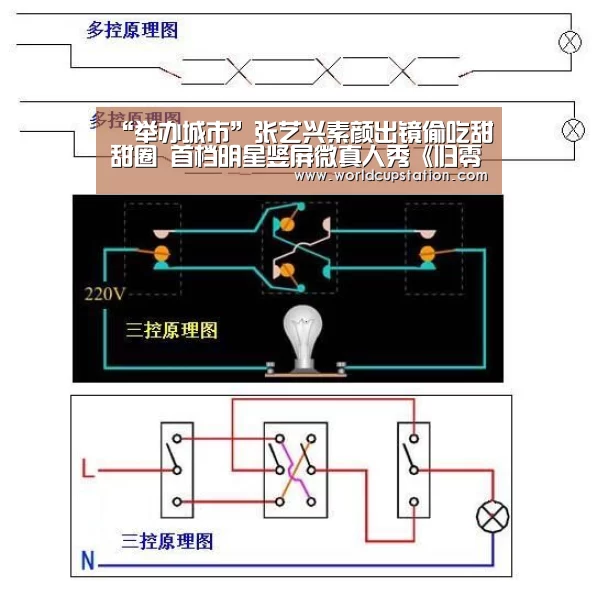 官方动态
