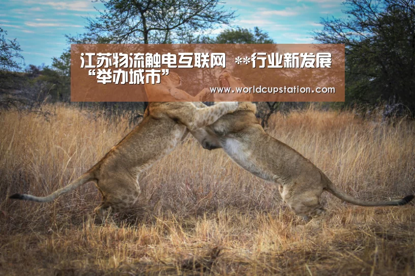 官方动态